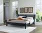 Danziar King Panel Bed with Mirrored Dresser and 2 Nightstands